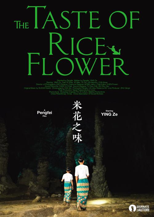 买个假华盛顿州